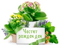 Честит рожден ден с букети цветя